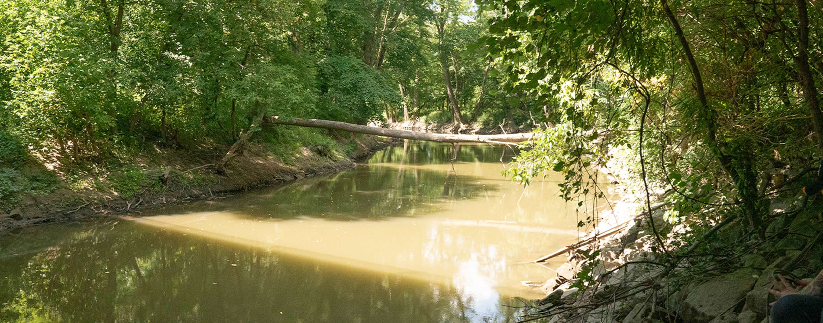 Clinton River North Branch section