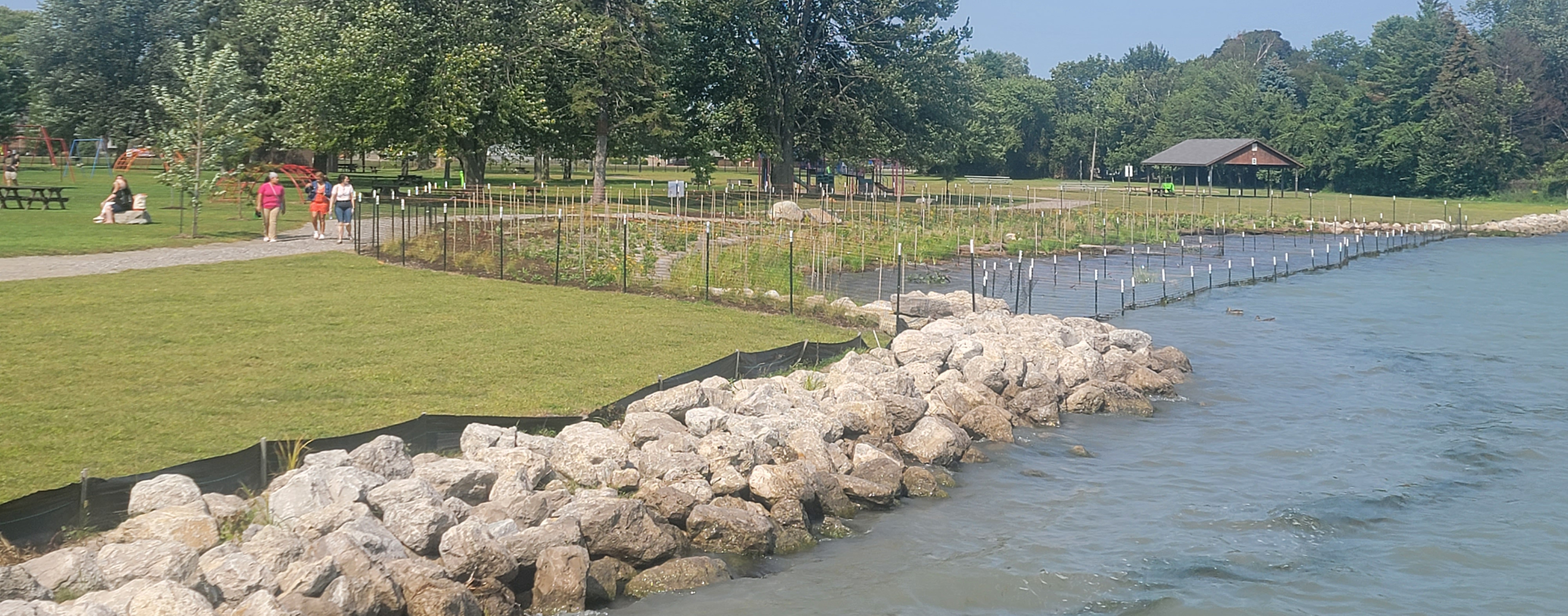 The newly restored shoreline features habitat structures that improve the biodiversity of the ecosystem.