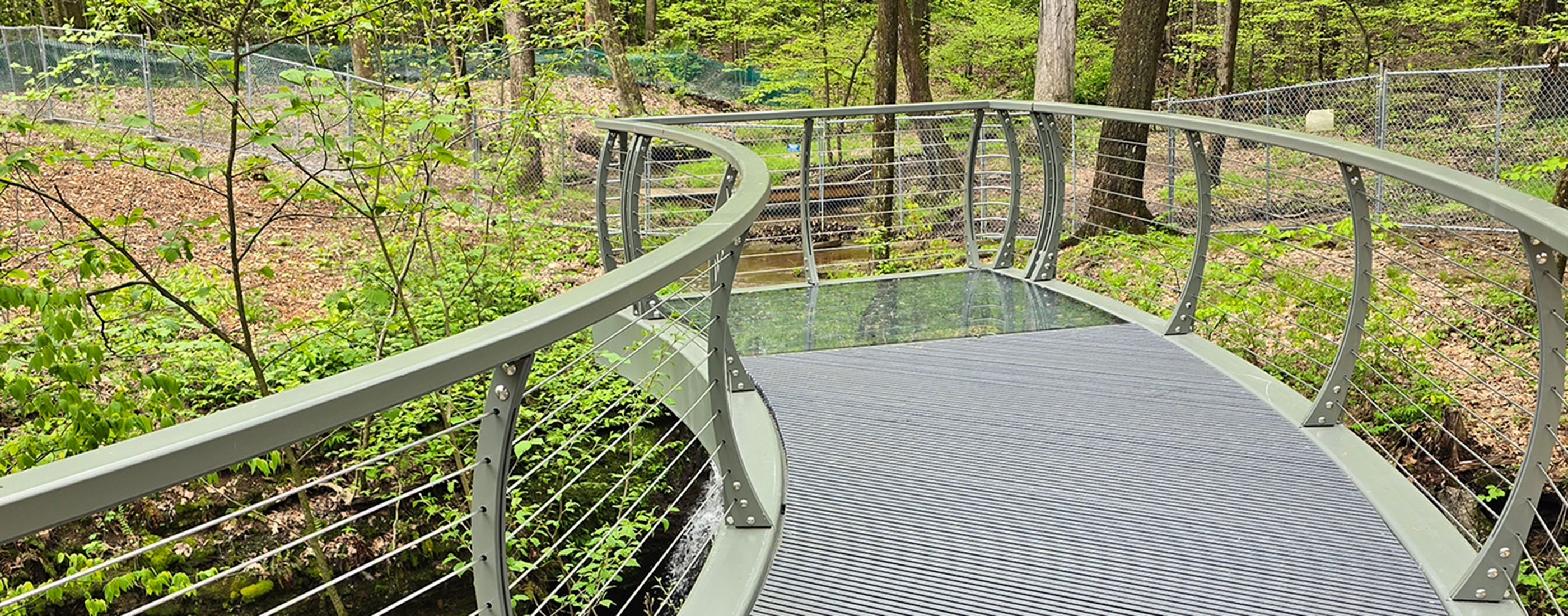 Glass bridge at Nelson-Kennedy Ledges State Park