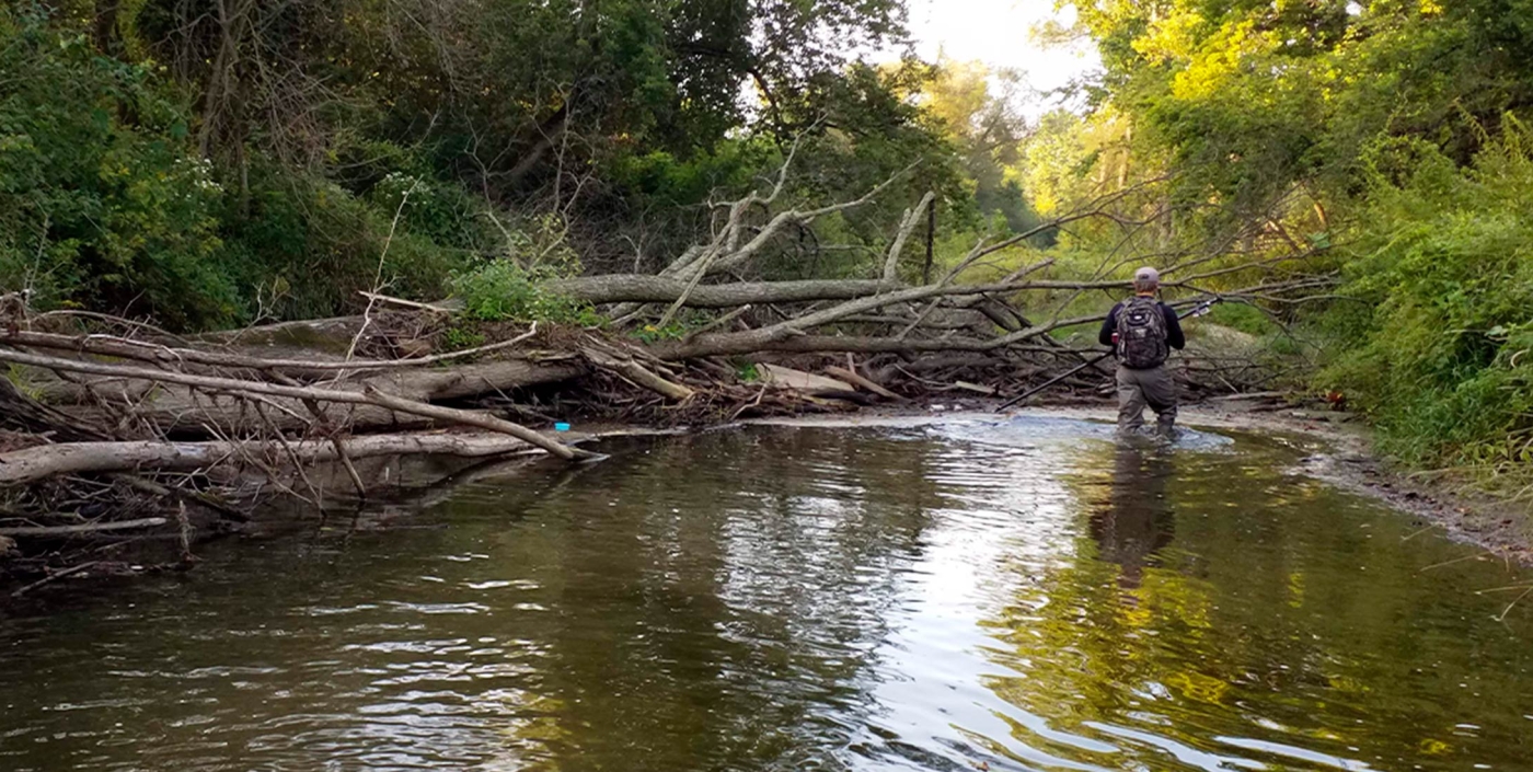 One of our water experts walks through a stream with excessive stormwater.