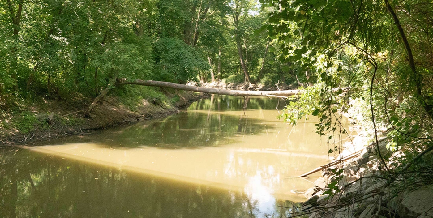 Clinton River North Branch section