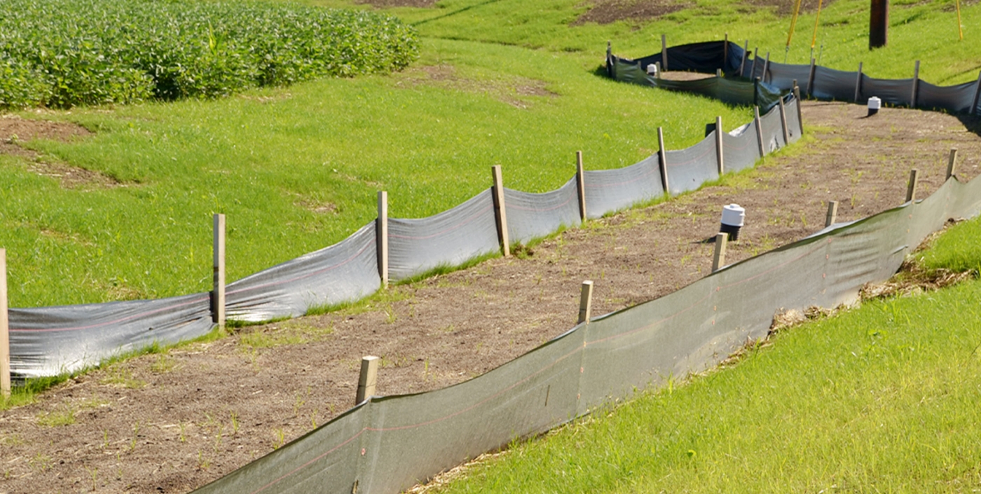 Newly designed bioswales