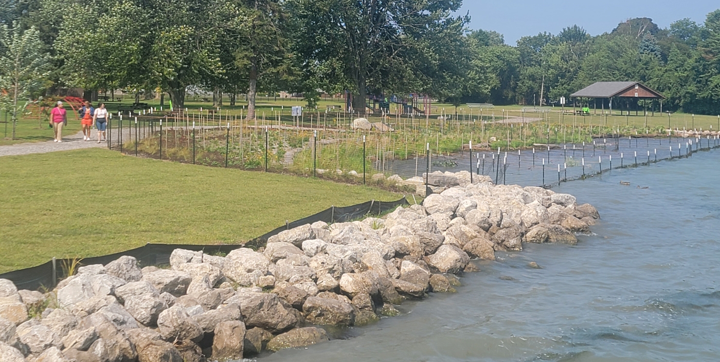 The newly restored shoreline features habitat structures that improve the biodiversity of the ecosystem.