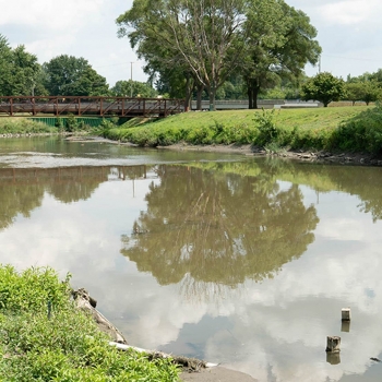 Clinton River monitoring at Red Run