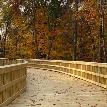 Looking west on Clarkston Regional Pathway boardwalk