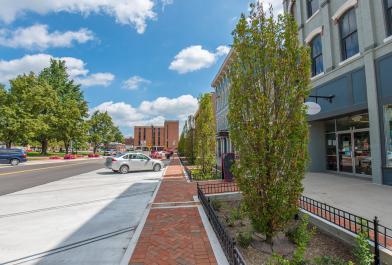 Newark Streetscape Sustainable Bioswales